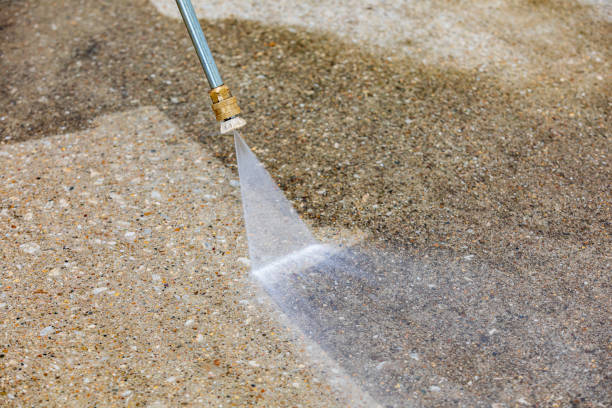 Best Animal Enclosure Cleaning  in Taylorsville, NC