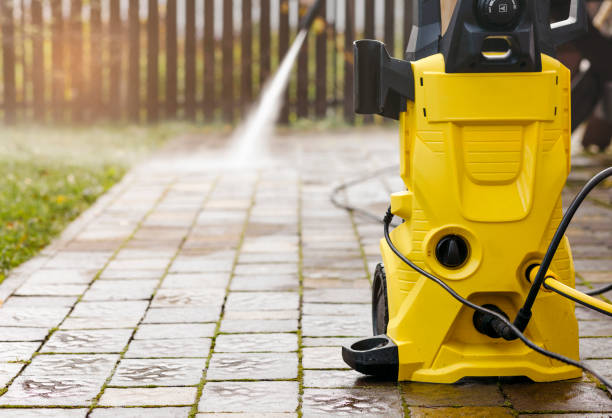 Animal Enclosure Cleaning in Taylorsville, NC